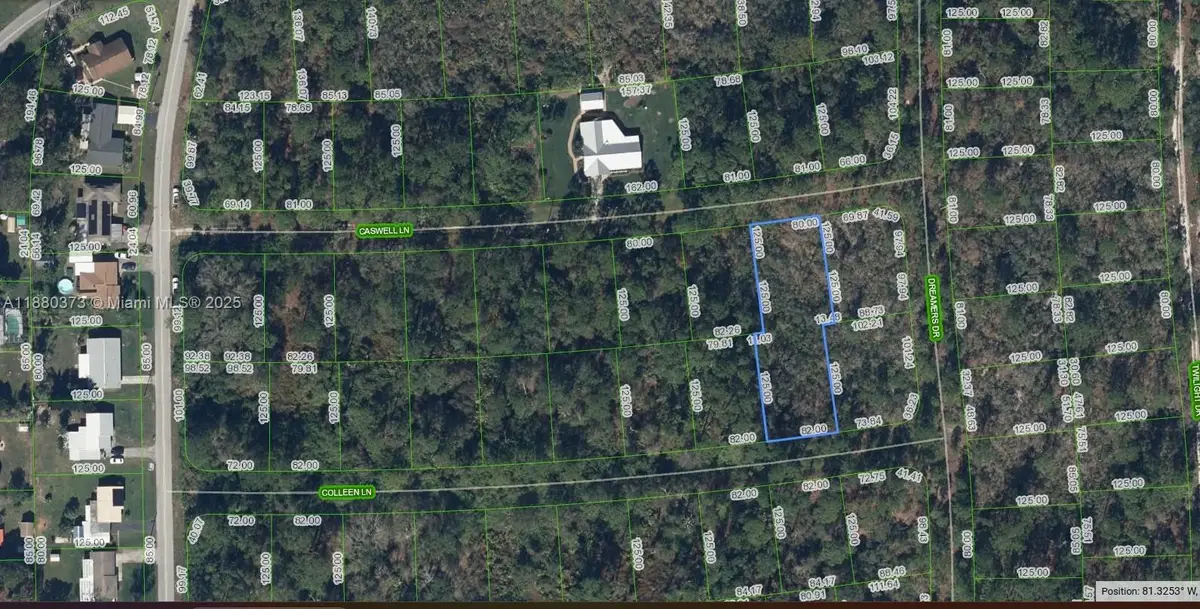 233 + 232 Caswell + Colleen Lane, Lake Placid, FL 33852 - Image #1