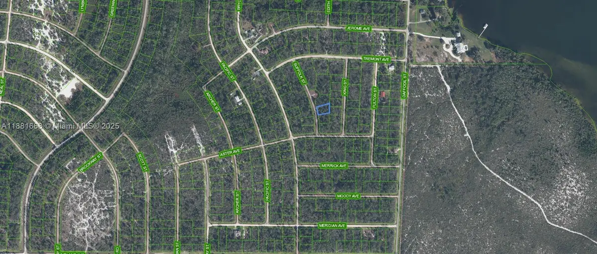 729 Suffolk Street, Lake Placid, FL 33852 - Image #1