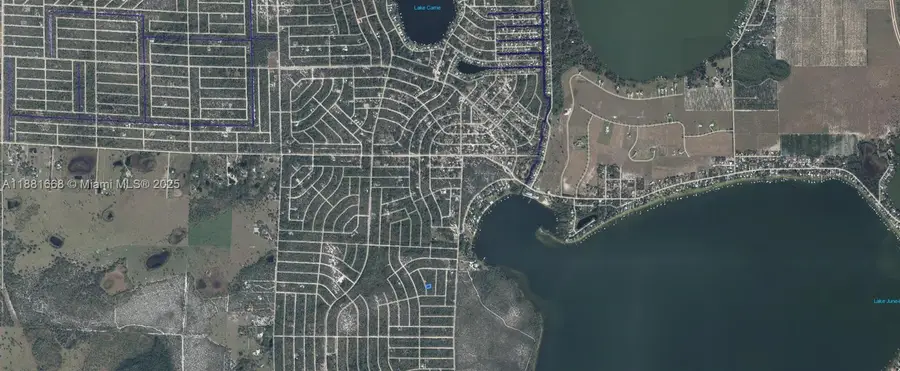 729 Suffolk Street, Lake Placid, FL 33852 - Image #3