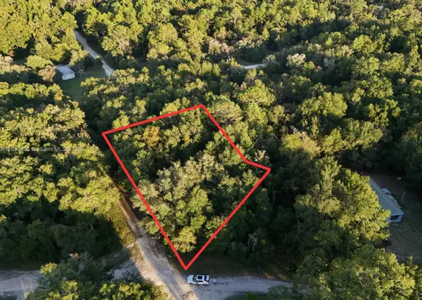 0 NE 2nd Pl, Williston, FL 32696