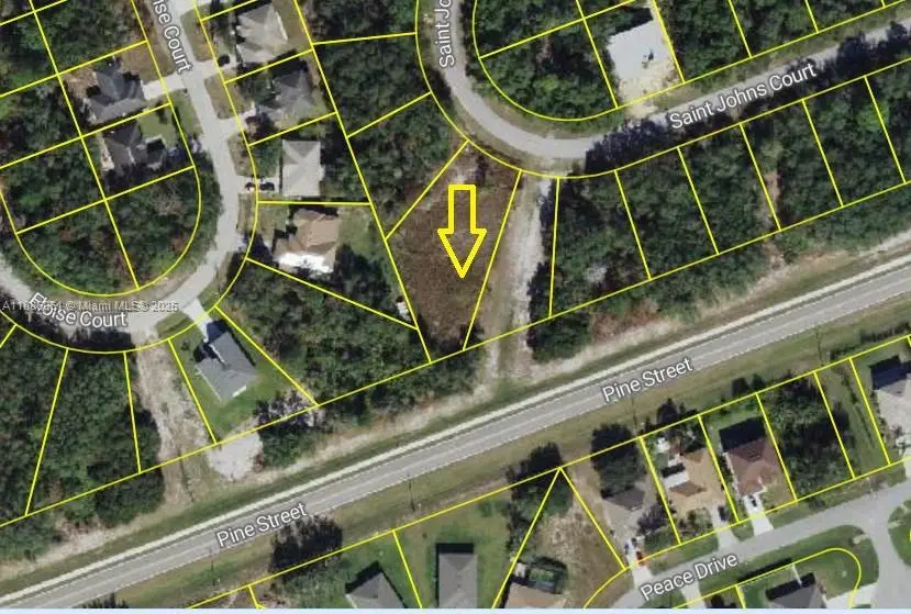 531 St Johns Ct, Kissimmee, Fl 34759, Poinciana, FL 34759 - #1
