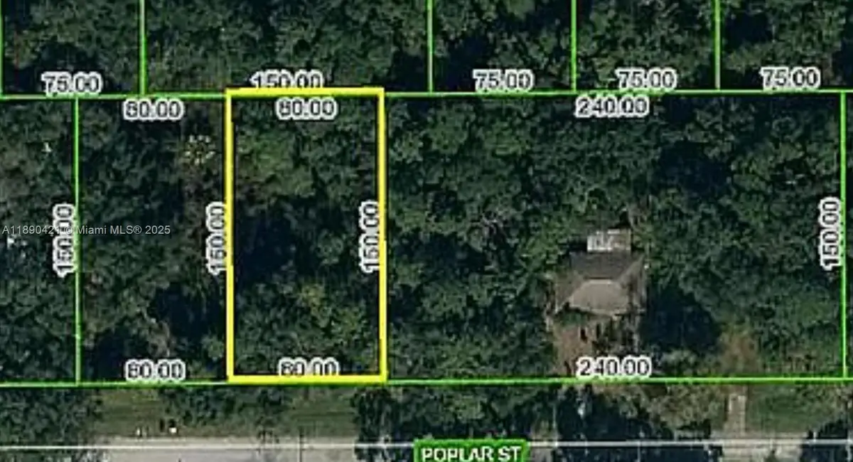 1508 Poplar St., Lake Placid, FL 33852 - Image #1