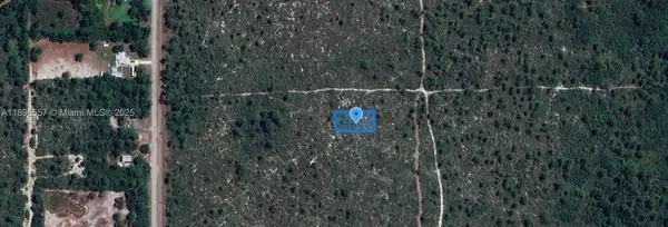 701 Camden St, Lake Placid, FL 33852