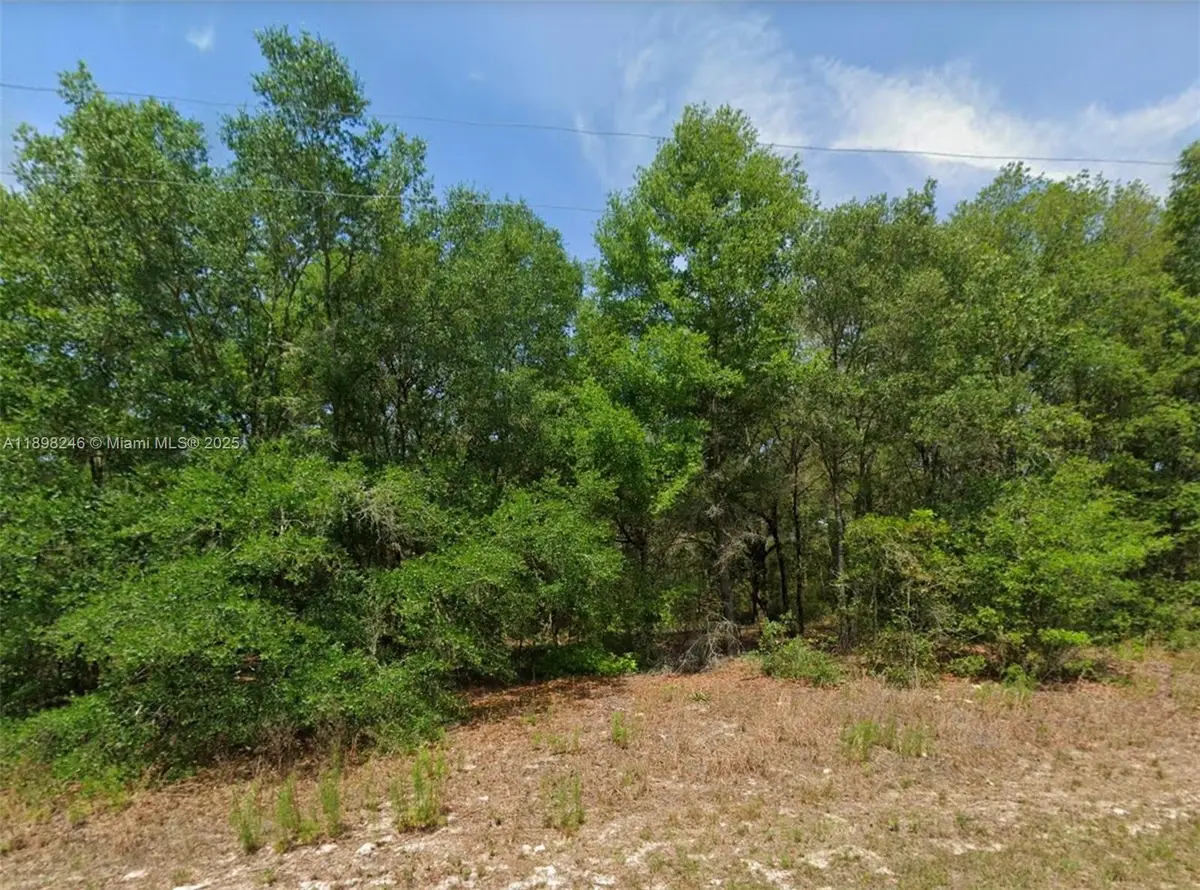 11451 N Clare, Citrus Springs, FL 34434 - #1