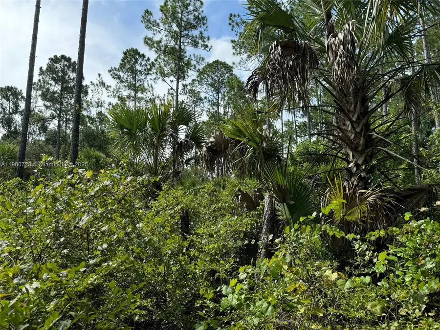 0 County Road 335, Other, FL 32110 - #2