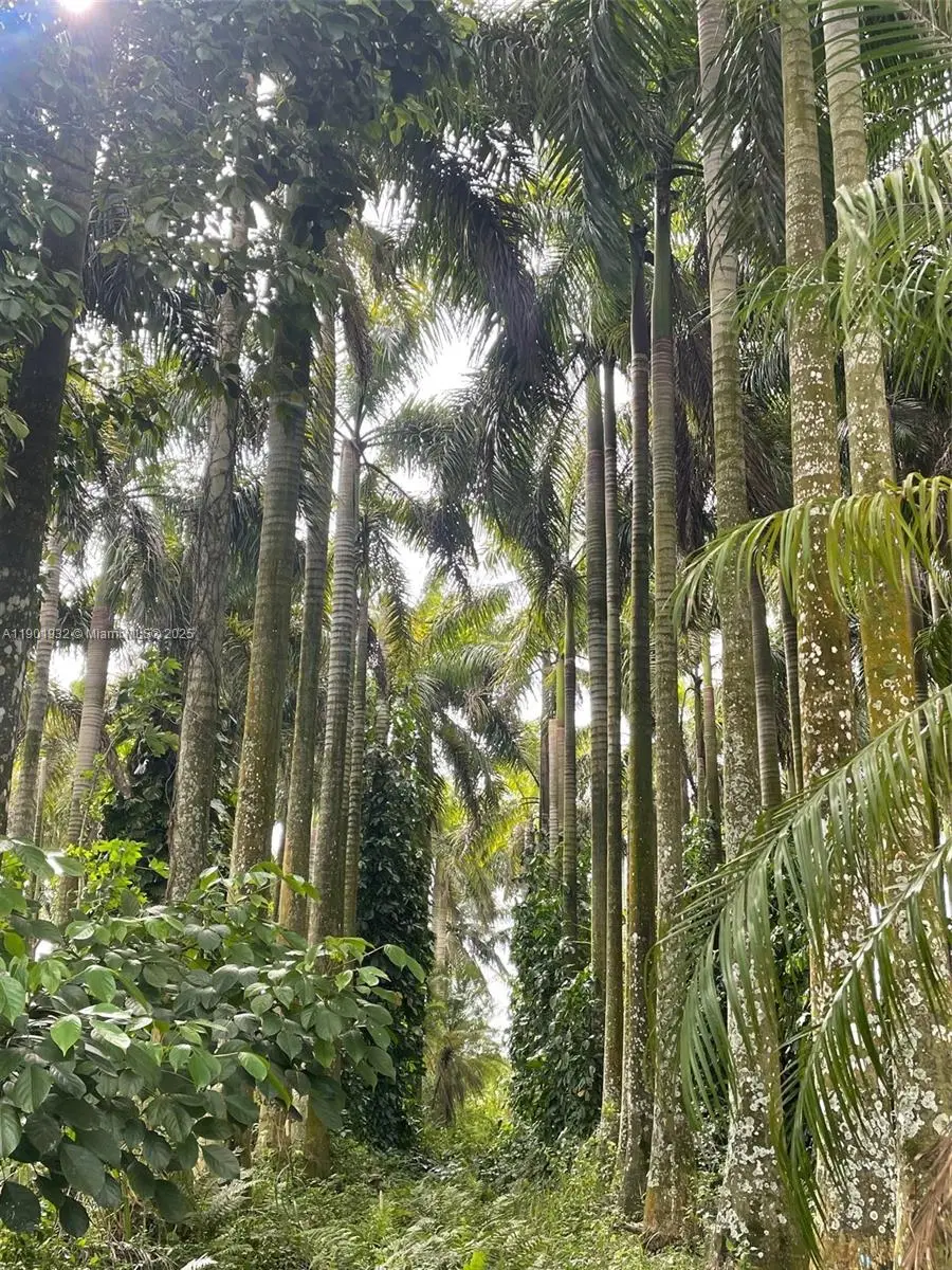 15200 SW 197th Avenue, Miami, FL 33187 - Image #3