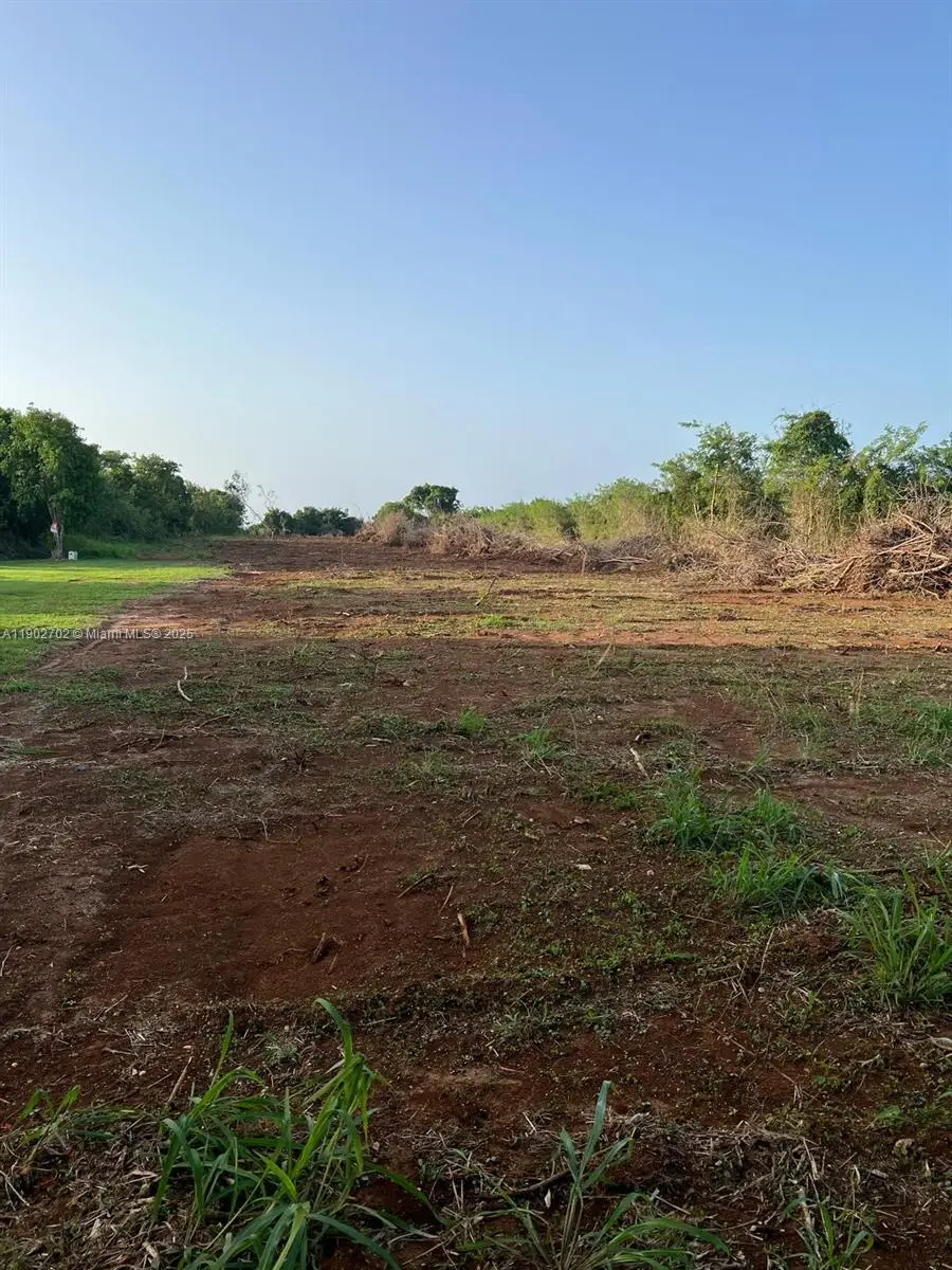 CARR 110 KM.HM 9.9 NW Ocean View 3587 Sm, Aguadilla, PR 00603 - Image #3