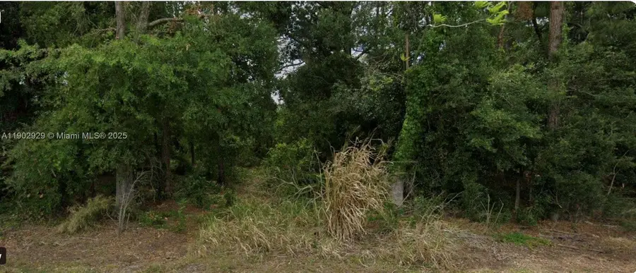 433 Claremont Ave, Lake Placid, FL 33852 - Image #3