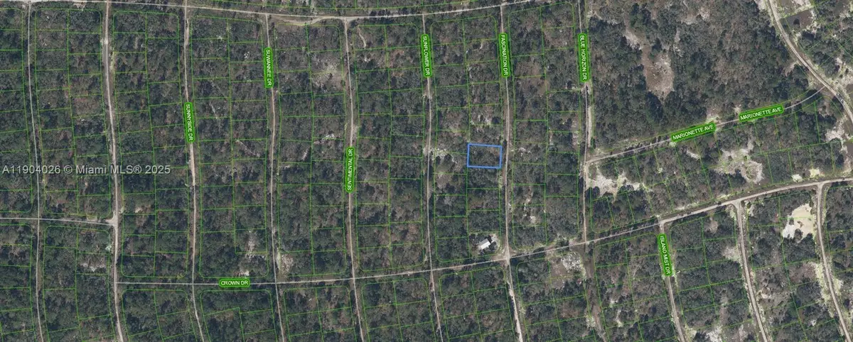 252 Fascination Drive, Lake Placid, FL 33852 - Image #1