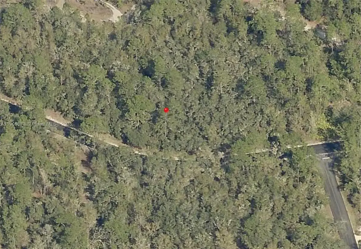 TBD Locust Loop Radial, Ocala, FL 34472 - Image #1