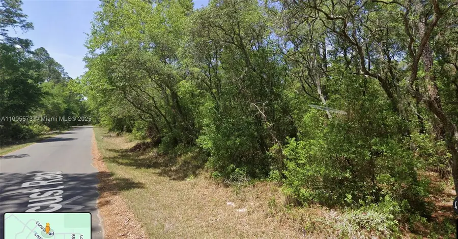 TBD Locust Loop Radial, Ocala, FL 34472 - Image #2