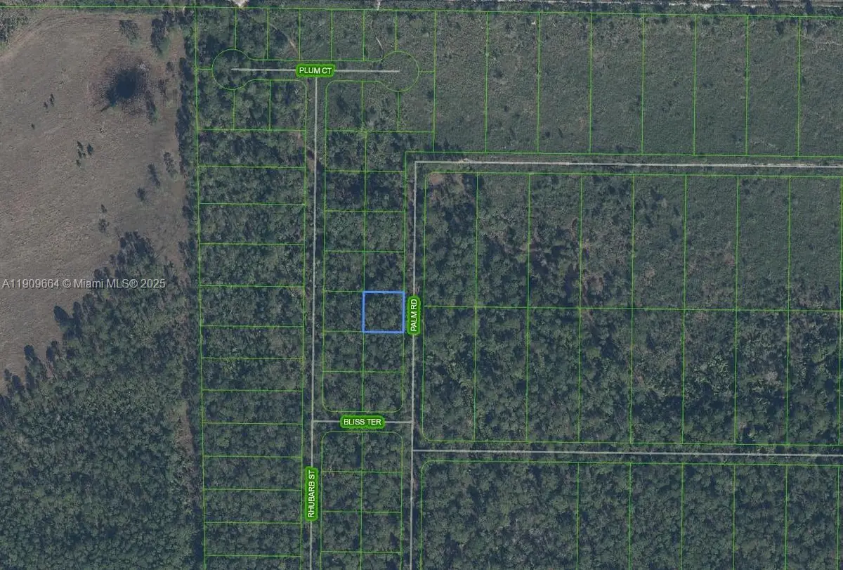 4817 Palm Road, Sebring, FL 33875 - #1