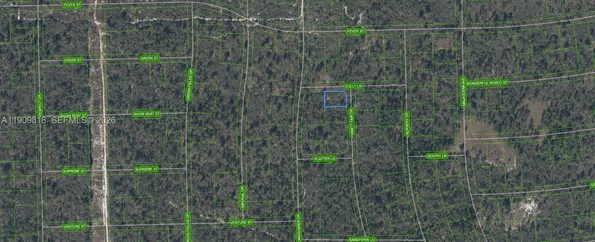 305 Dolly Lane, Lake Placid, FL 33852 - #1