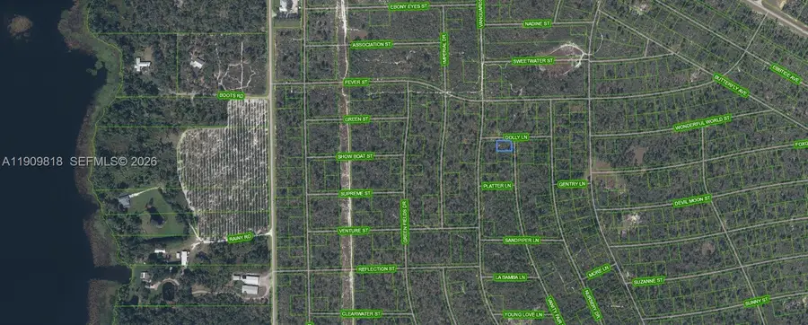 305 Dolly Lane, Lake Placid, FL 33852 - #2