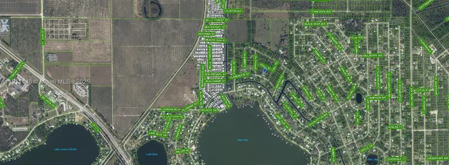 1426 Stall Street, Lake Placid, FL 33852 - Image #3