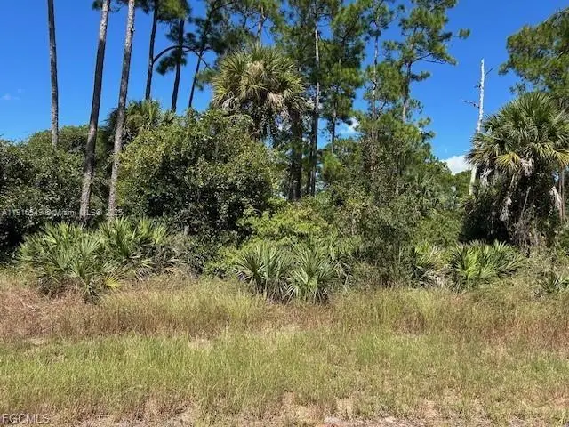 675 Nassau Cir, Labelle, FL 33935 - #1