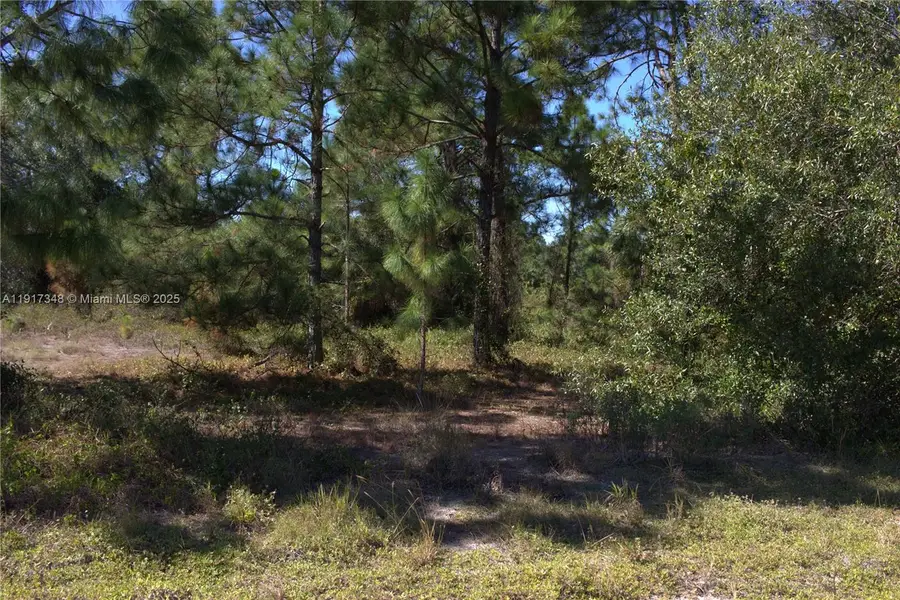 1917 Moore, Lehigh Acres, FL 33972 - #3