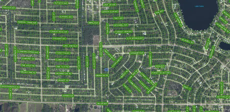 3292 Gossamer Avenue, Lake Placid, FL 33852 - Image #3