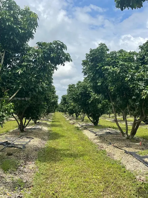 340XX SW 217 Ave, Homestead, FL 33034