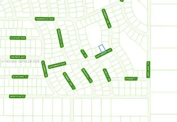 496 Haymaker Ave, Lake Placid, FL 33852 - Image #1