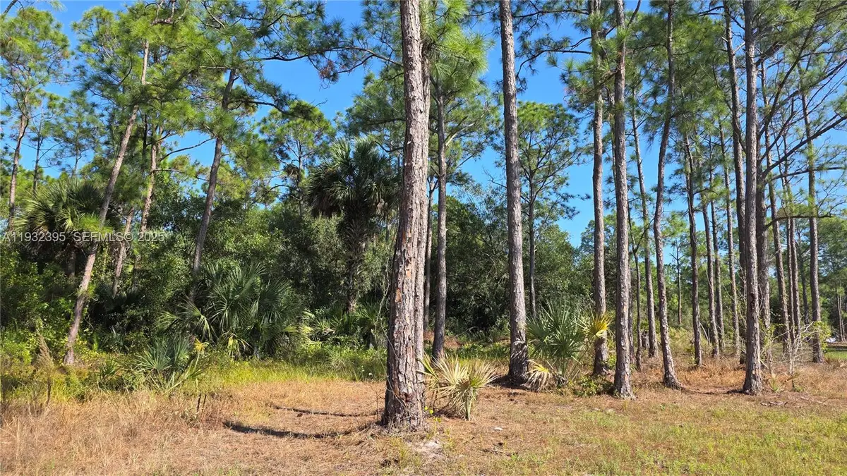 645 S Jasmine St, Clewiston, FL 33440 - Image #1