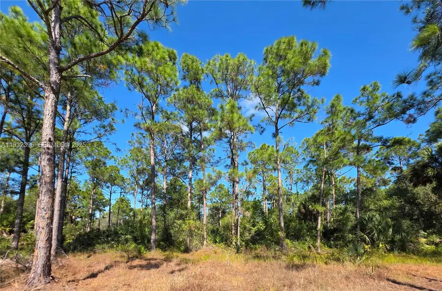 645 S Jasmine St, Clewiston, FL 33440 - Image #3