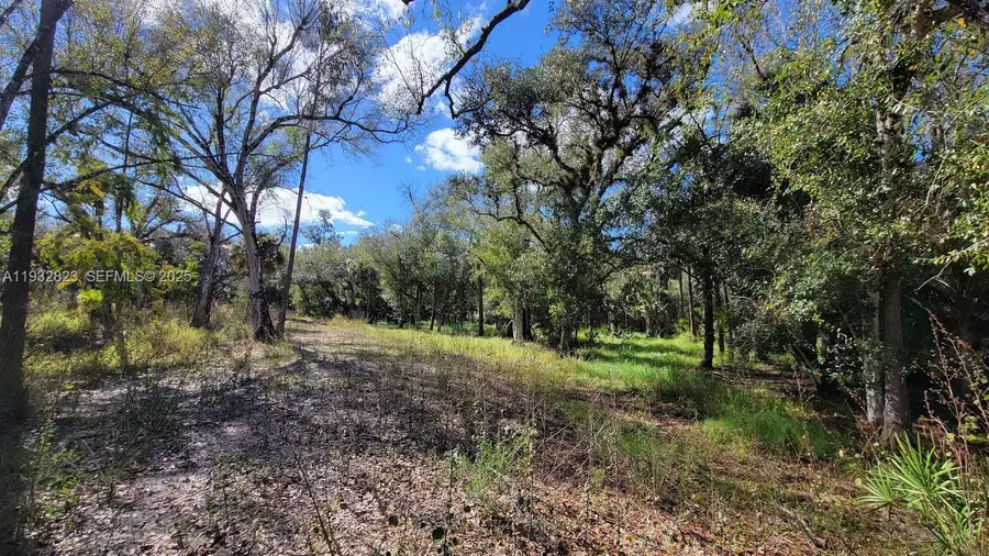 Blk 16 Lots 1-16 San Jose Wright St., Labelle, FL 33935 - Image #2