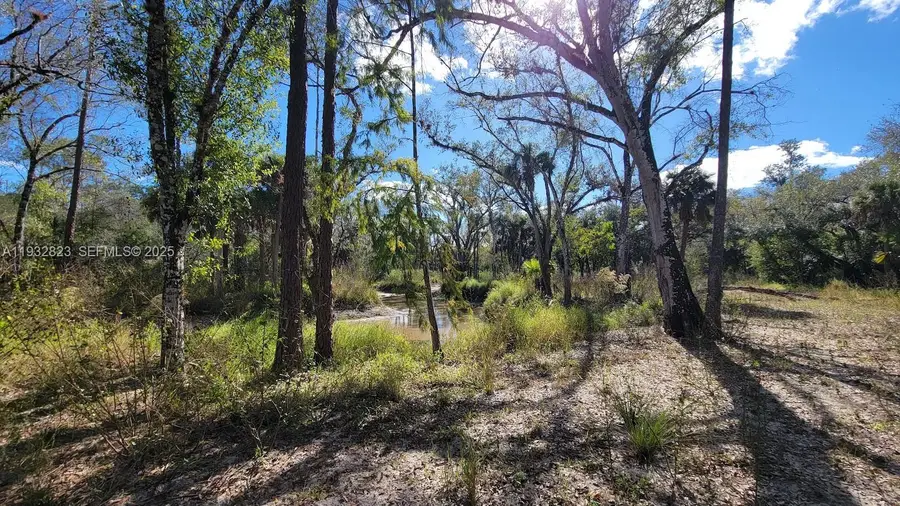 Blk 16 Lots 1-16 San Jose Wright St., Labelle, FL 33935 - Image #3