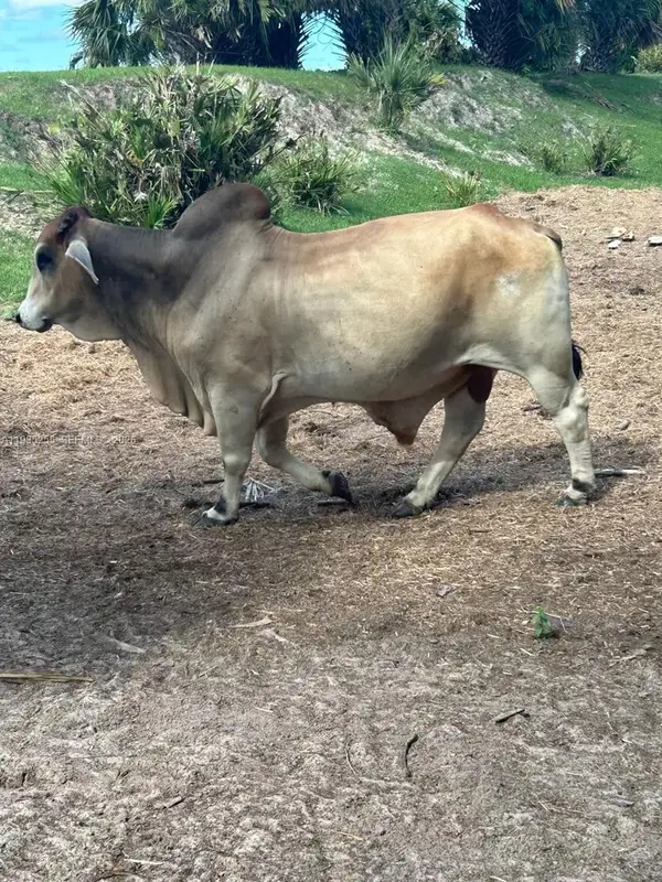 NW 72 Ave, Okeechobee, FL 34972