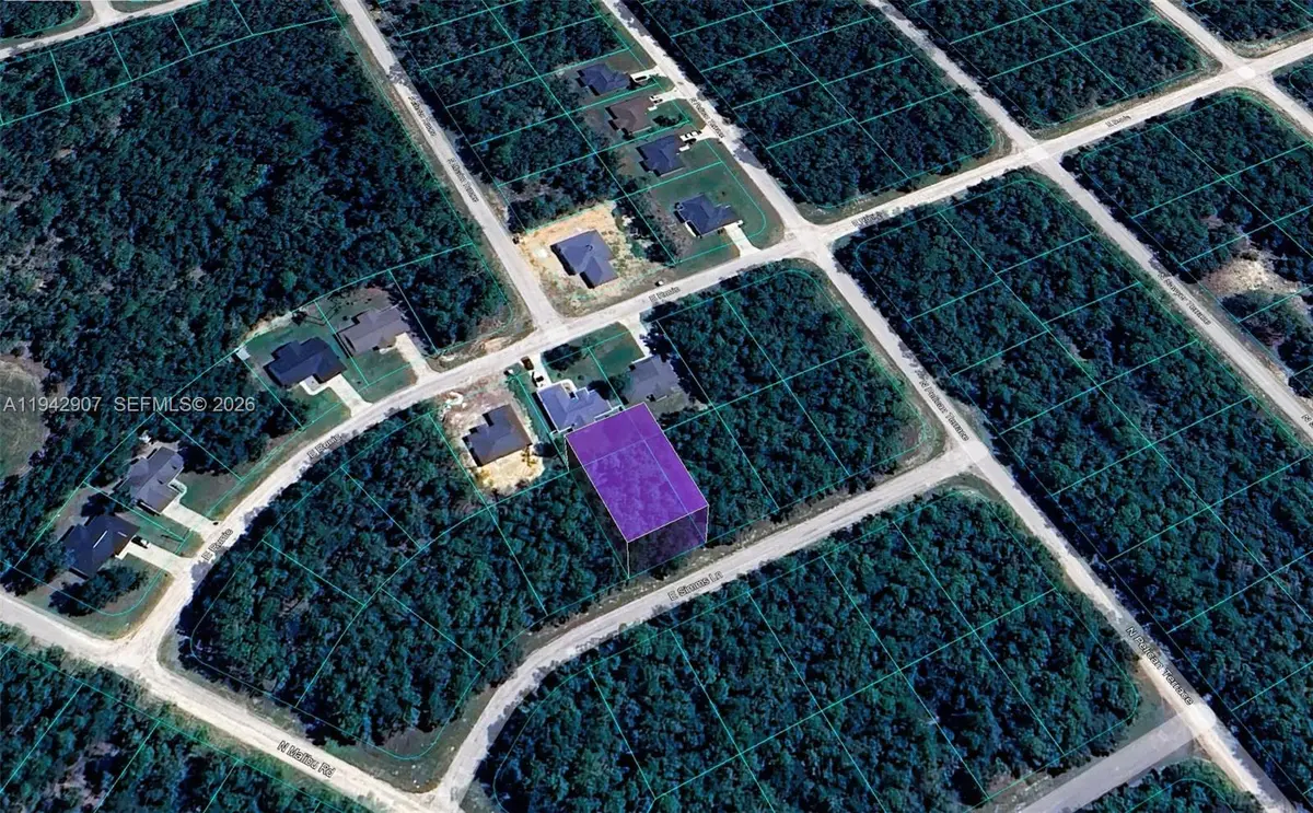 165 E Simms Lane, Citrus Springs, FL 34434 - Image #1