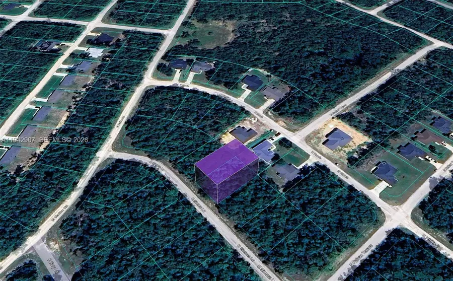 165 E Simms Lane, Citrus Springs, FL 34434 - Image #3