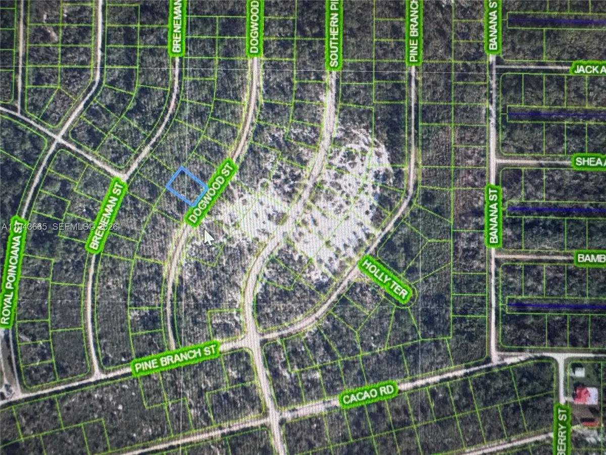 1230 Dogwood, Lake Placid, FL 33852 - Image #1