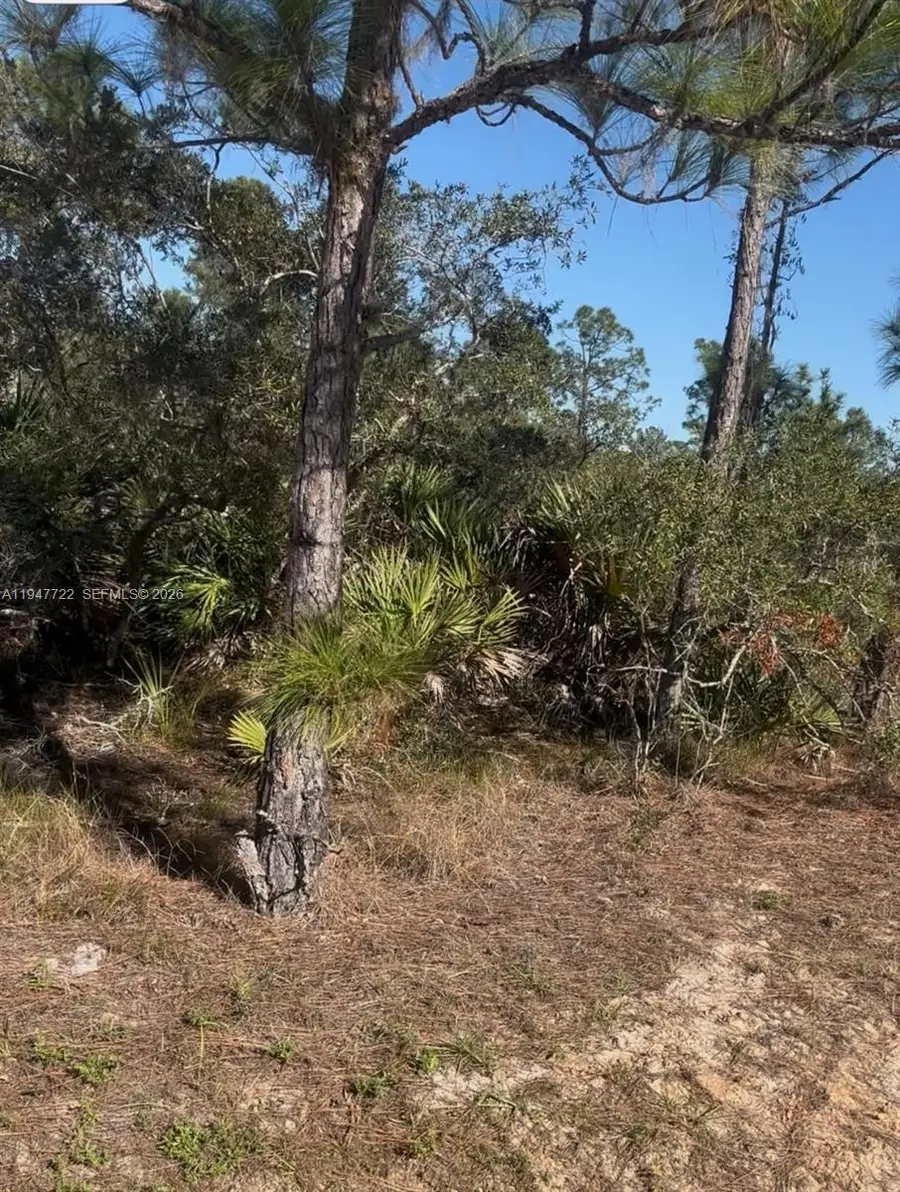 1846 Nolana Ave, Sebring, FL 33875 - #3