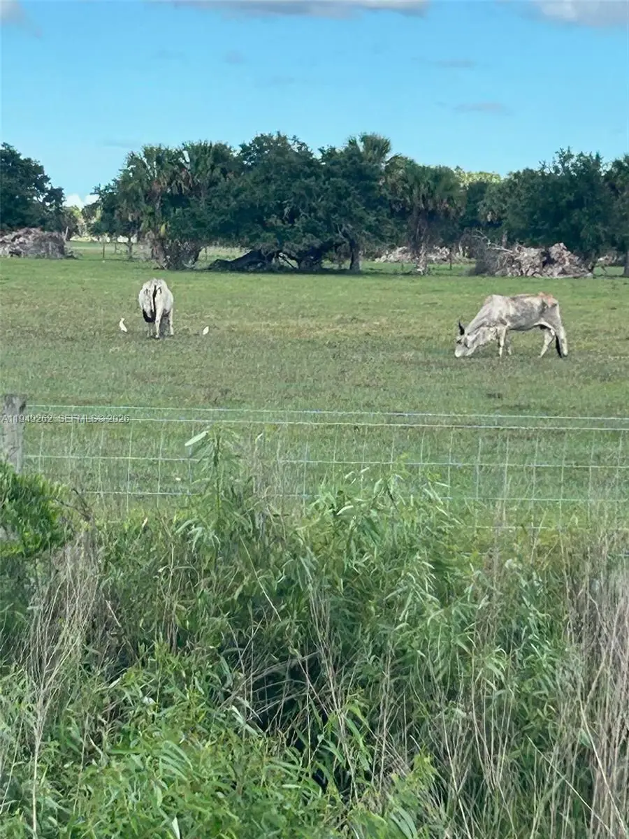 27 Avenue NW Okeechobee, Okeechobee, FL 34972 - Image #3