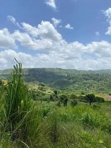 1 Colleyville, Manchester, Jamaica, Manchester, FL  - Image #3