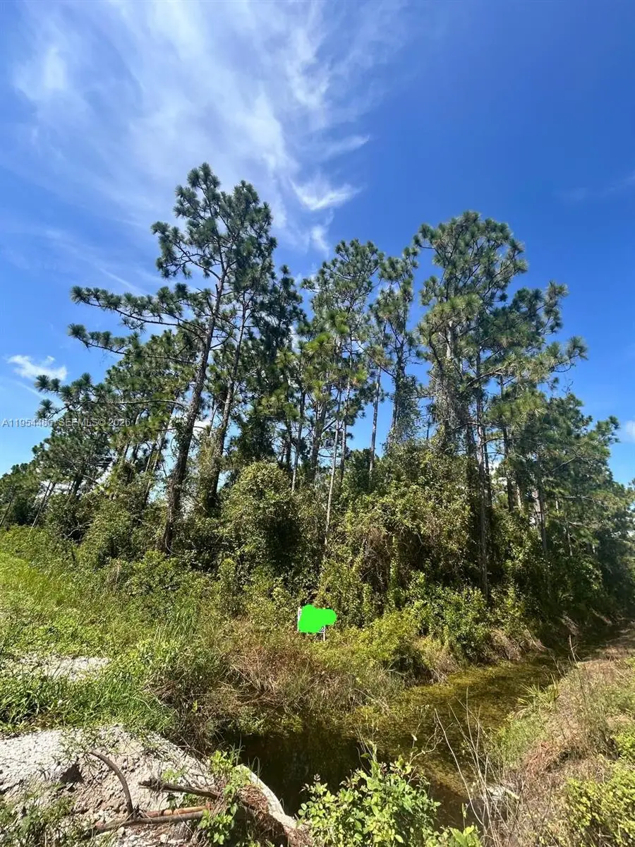 966 NW Challenger, Lake Placid, FL 33852 - Image #2