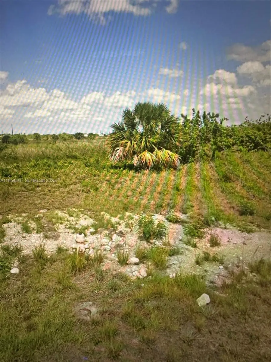 301 Ryan, Labelle, FL 33035 - Image #2