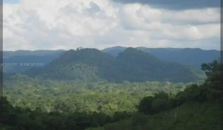 00 Ethel Town, Westmoreland, Jamaica, Westmoreland, FL  - #2