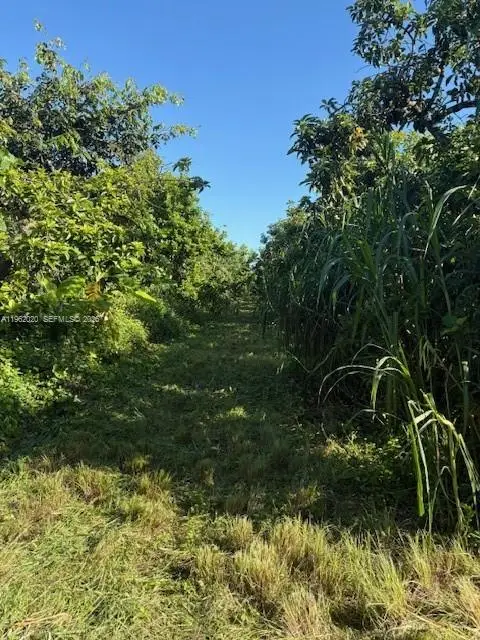 224XX SW 202 Ave, Everglades, FL 33170 - #2