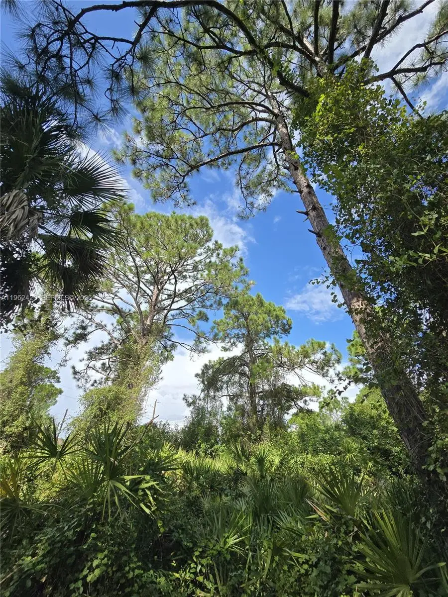 233 Malden Ave S, Lehigh Acres, FL 33974 - #1