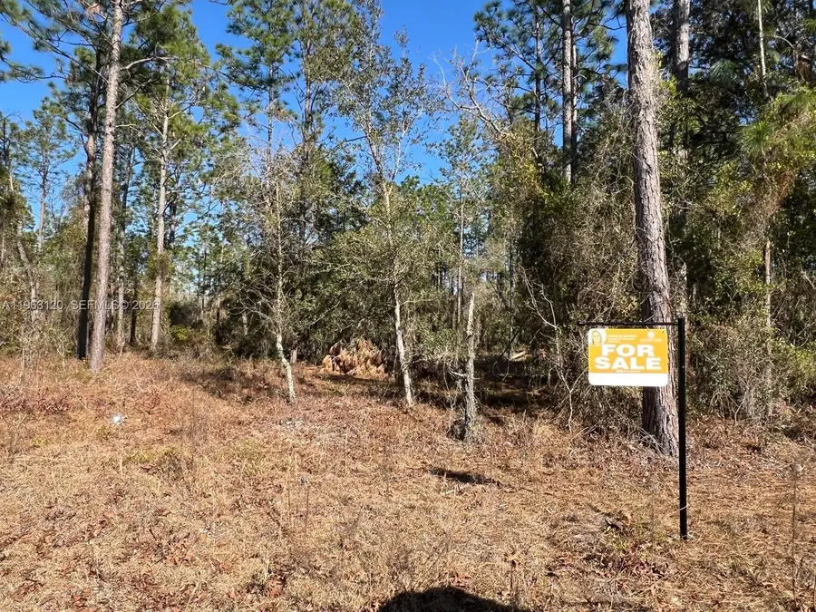 000 Rainbow Lakes Estates, Rainbow Lakes Estates, FL 34431 - #3