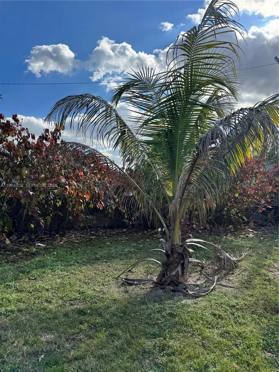 36 NW 151st St, Miami, FL 33169 - #3