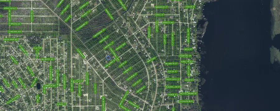 1209 Bradley Avenue, Lake Placid, FL 33852 - #3