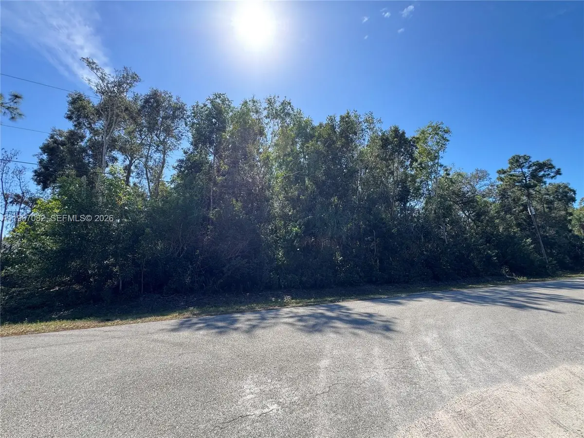 UNINCORPORATED Spanish Oaks Lane, Other, FL 34119 - #1