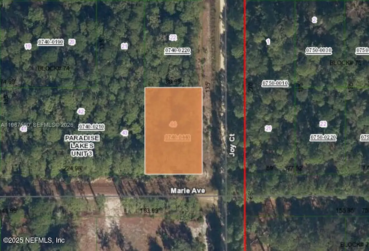 216 Marie Ave, Georgetown, FL 32139 - #1
