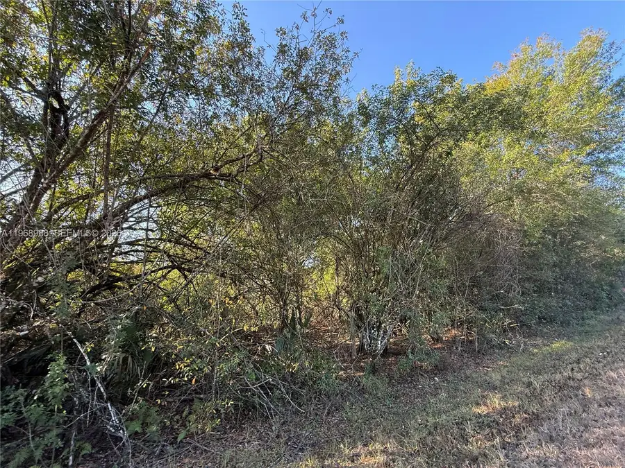 858 Woodland Blvd, Clewiston, FL 33440 - #3