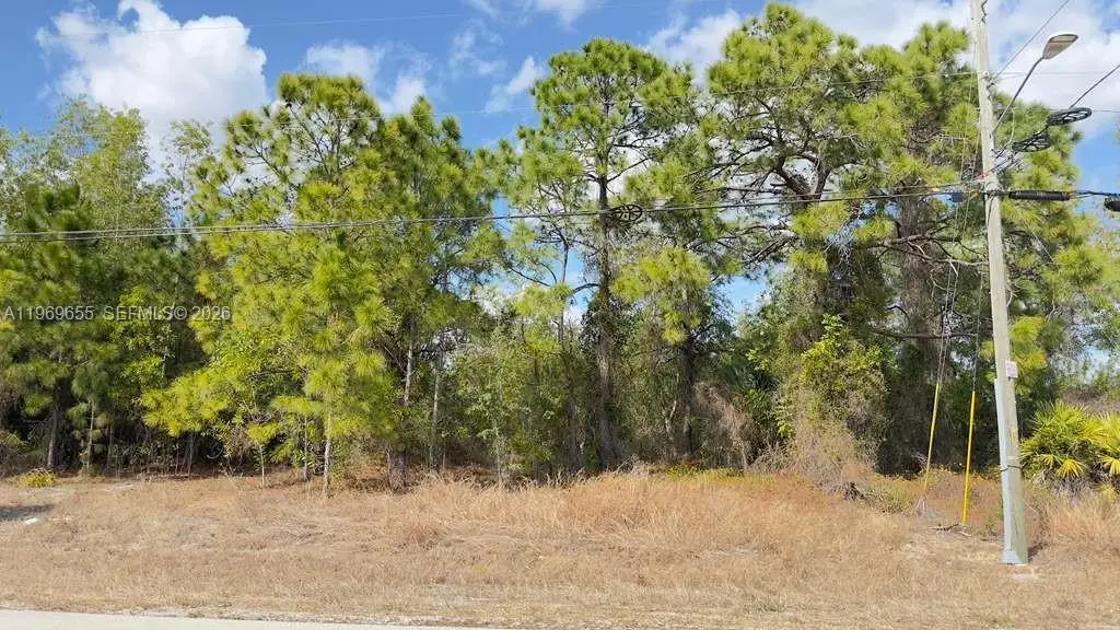 803 E Colyer St, Lehigh Acres, FL 33974 - #1