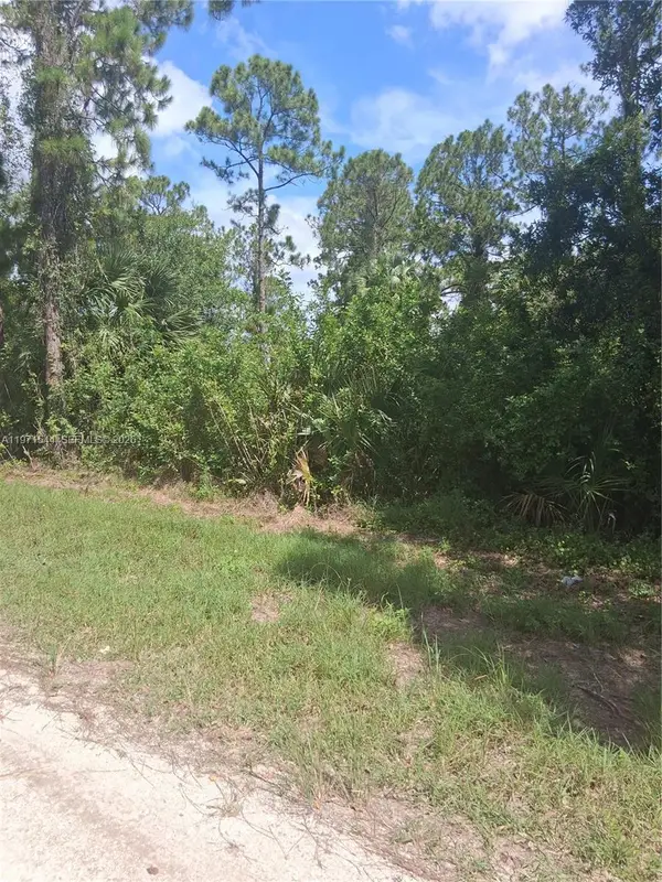 913 Abbey St E, Lehigh Acres, FL 33974