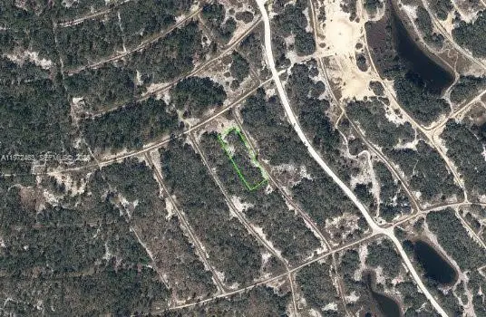 342 Gloaming Drive, Lake Placid, FL 33852 - #1