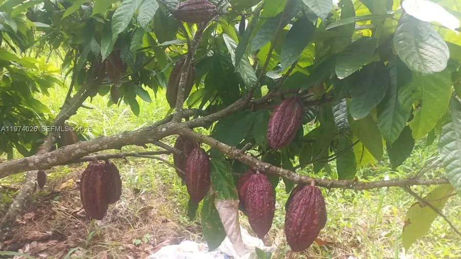 KM 40 Via Naranjal-guayas, Grant, OS  - #3